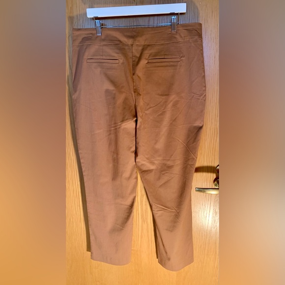NWT Eric Casual Pull-On Pants- Chestnut- Size 2X - Picture 2 of 4